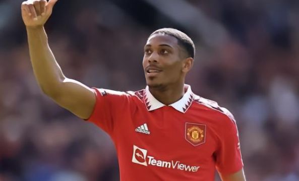 这也证明了 这也证明了